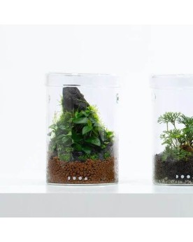 Pot en verre Maru DOOA 9.5 cm avec couvercle