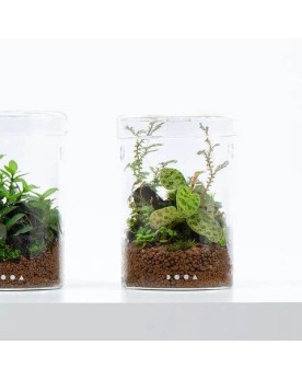 Pot en verre Maru DOOA 9.5 cm avec couvercle