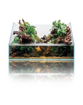 Paludarium verre UNS 60E 60x36 front14 back36