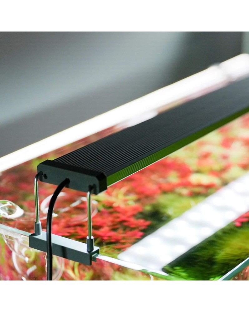 Chihiros B-line B60 rampe LED WRGB 60-80 cm