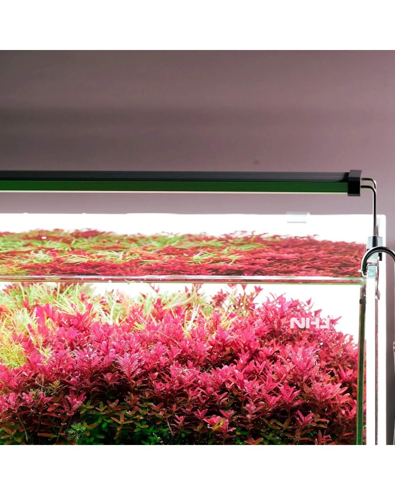 Chihiros B-line B60 rampe LED WRGB 60-80 cm