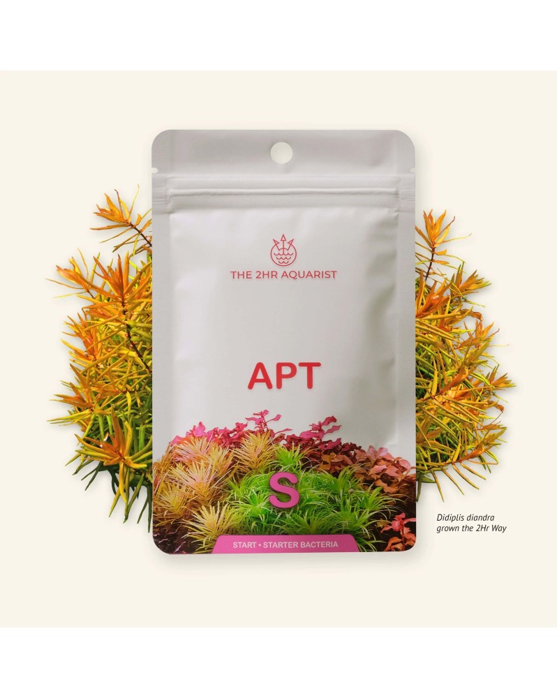 APT Start enrichissement substrat et bacteries