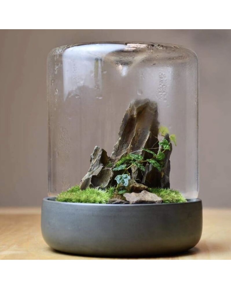 Mini mossarium Nixing - poterie lisse 12 cm