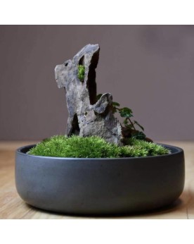Mini mossarium Nixing poterie martele 12x4.5 cm
