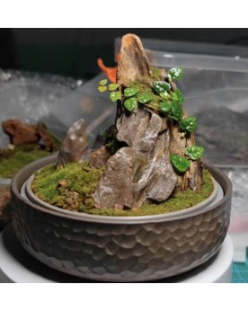Mini mossarium Nixing poterie martele 12x4.5 cm