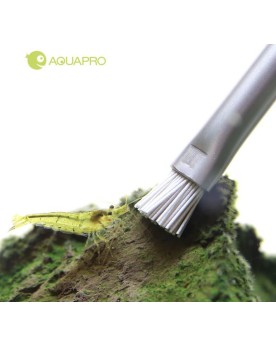 AquaPro brosse algues brins tendres acier inox