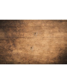 Image du produit de test pour demonstration
