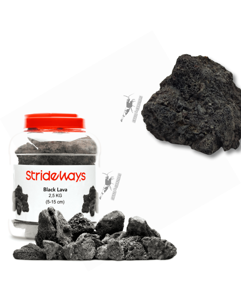 Pierre Black Lava roche poreuse pour aquariums