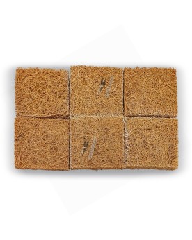 Blau Cubic Selva 35 paludarium 35x35x45 cm