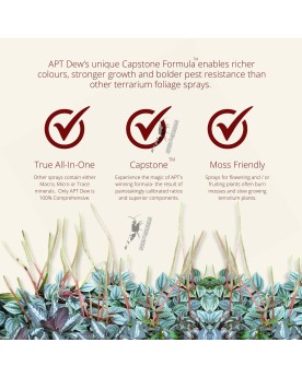 APT Dew engrais foliaire pour terrariums et paludariums