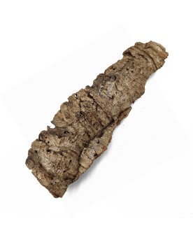 Ecorce de liege pour terrarium Taille S 12-20 cm