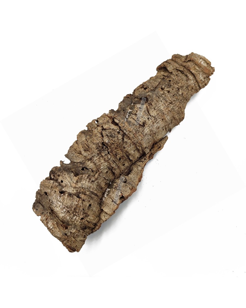 Ecorce de liege pour terrarium Taille S 12-20 cm