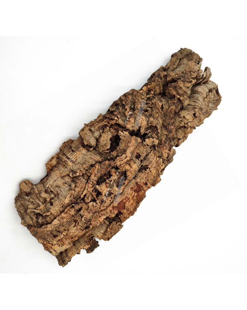 Ecorces de liege Taille M 25-35x12x18cm 300-500g