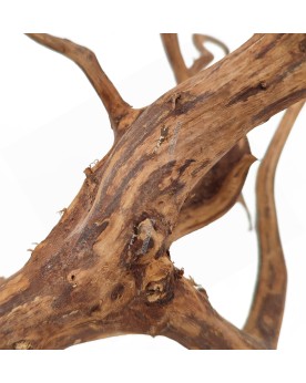 Bois Dark Snake pour aquascaping et aquarium a crevettes
