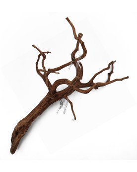 Dark Snake Wood bois aquascaping aquarium crevettes
