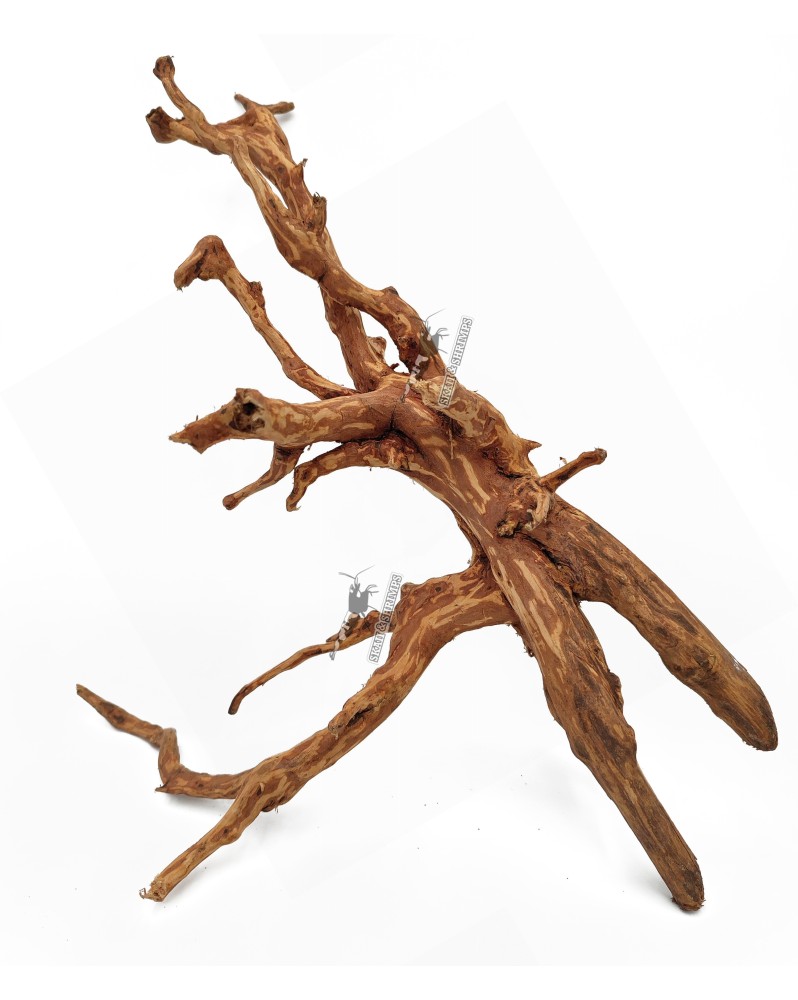 Dark Snake Wood dans aquarium decor aquascaping