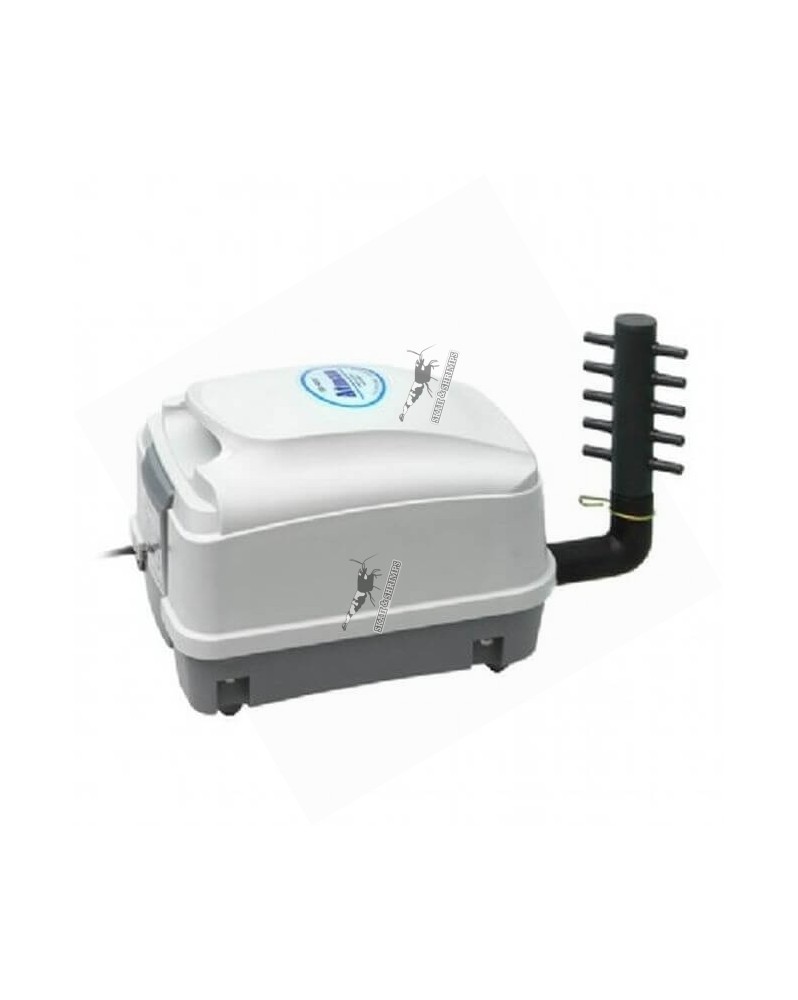 Compresseur a diaphragme pour fishroom
