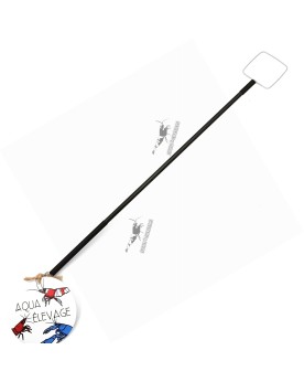 Epuisette 35 cm filet rigide pour crevettes