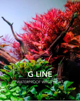 Rampe TWINSTAR LIGHT G LED RGB Orange etanche