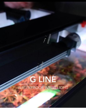 Rampe TWINSTAR LIGHT G etanche RGB Orange avec dimmer