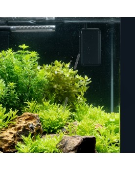 Chauffage aquarium electronique 35-55 L compact