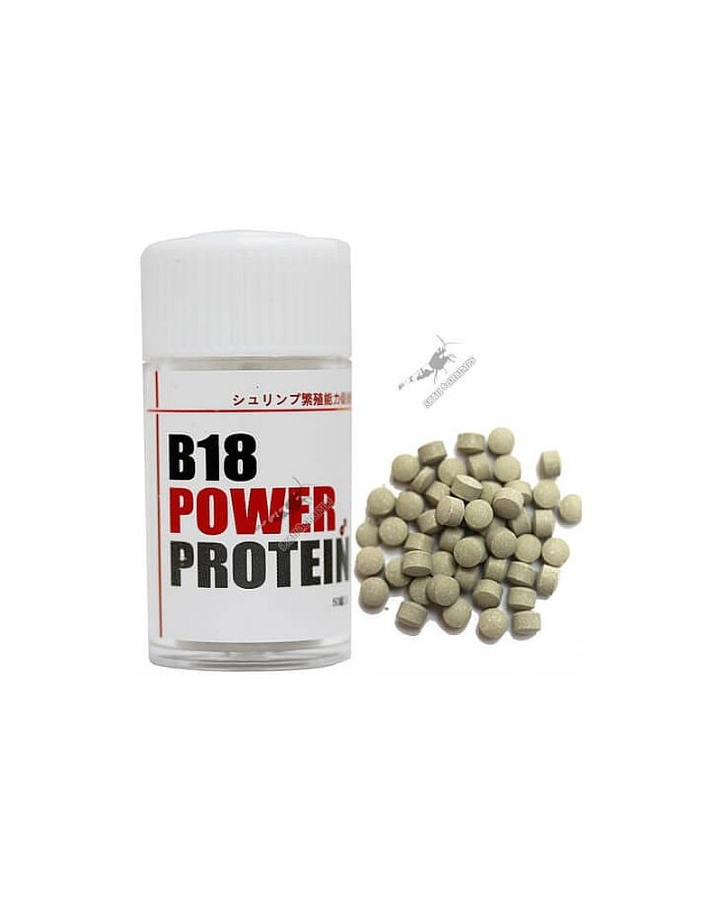 Lowkeys B18 Power Protein Aliment riche en proteines