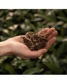 Substrat Carnivores Mix fibre coco sable vermiculite