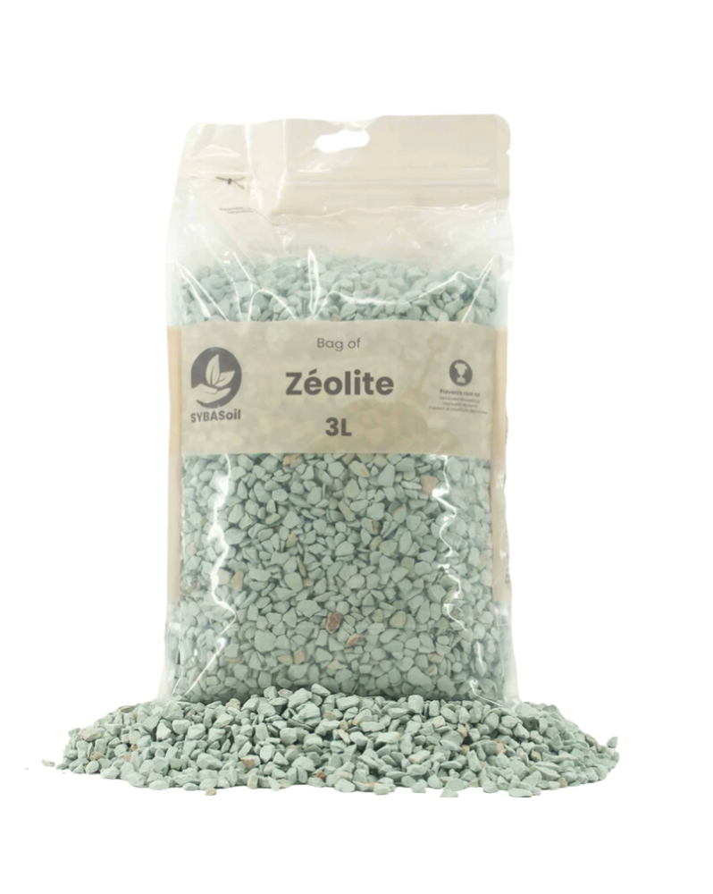 Zeolite change de couleur selon humidite