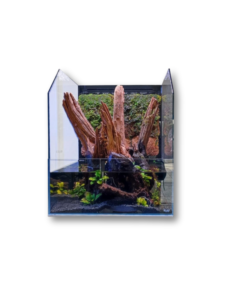 Blau Cubic Selva 35 paludarium 35x35x45 cm