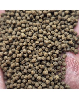 Basic Shrimp Pearls petits pellets pour crevettes