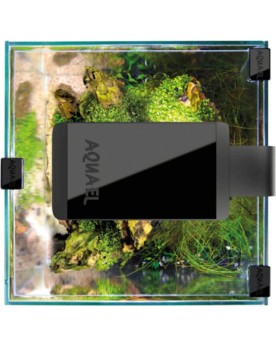 Leddy Smart Plant Day et Night pour petits aquariums