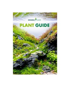 Guide plantes Dennerle aquarium