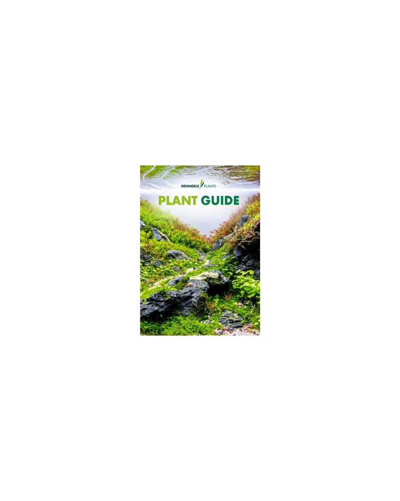 Guide plantes Dennerle aquarium