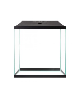 Kit Aquael enfants 35x18x30 cm avec filtre 320 l h
