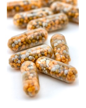 Dennerle Power Caps capsules engrais racinaire