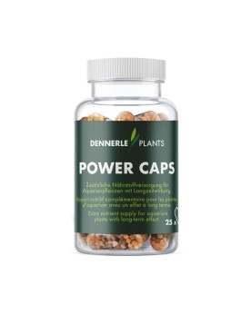 Dennerle Power Caps capsules engrais racinaire