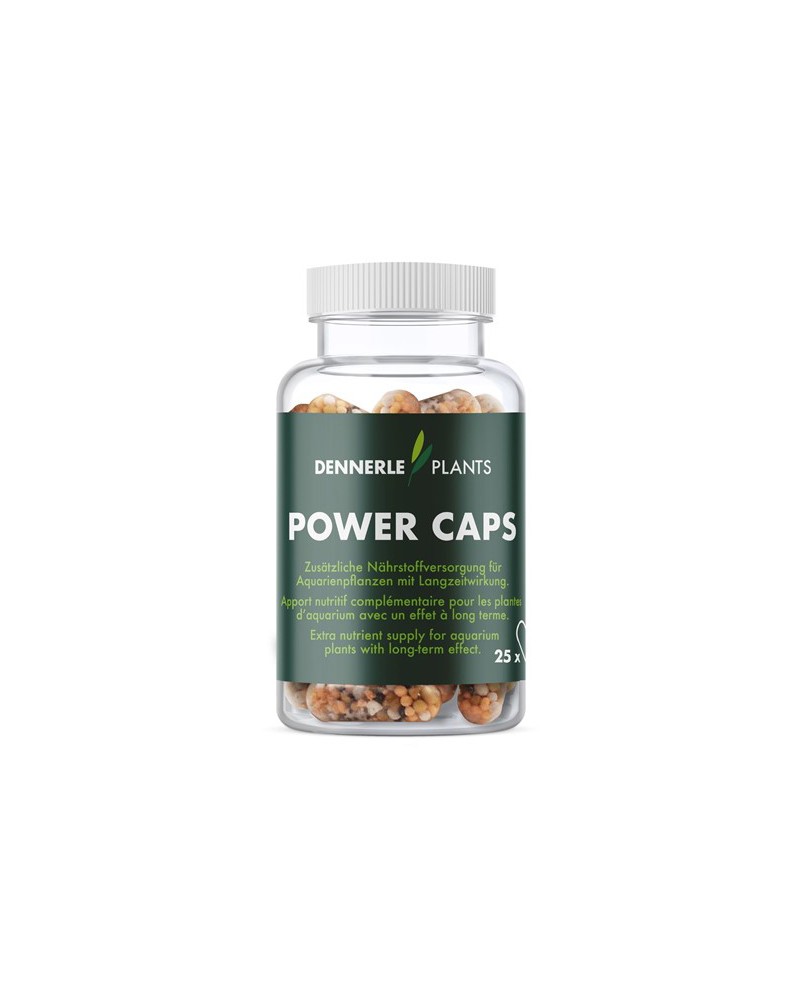 Dennerle Power Caps capsules engrais racinaire