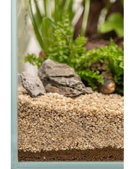 Dennerle substrat pour plantes d aquarium