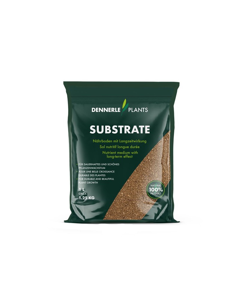 Dennerle substrat pour plantes d aquarium