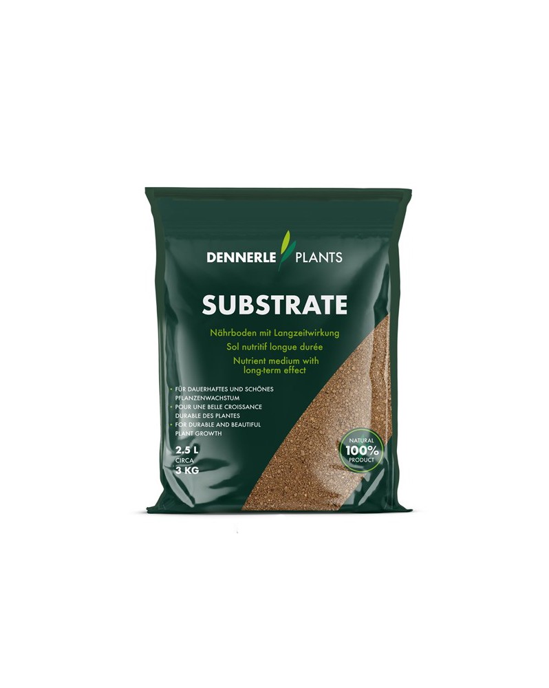 Substrat Dennerle pour plantes aquarium