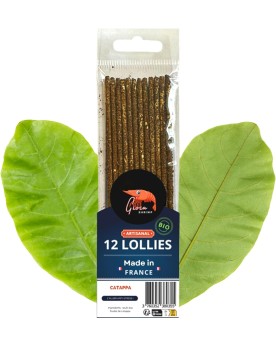 Gioia Shrimp - 12 Lollies Catappa