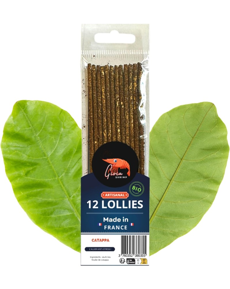 Lollies Catappa Shrimp paquet 12 pour crevettes