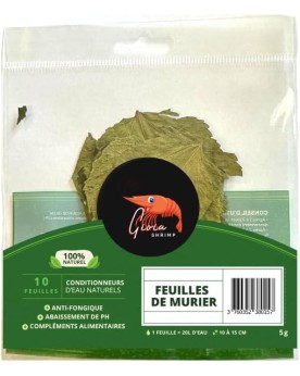 Gioia Shrimp - Feuilles de Mûrier x10