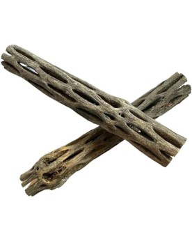 Ecorce Cholla Wood pour crevettes cachette et biofilm