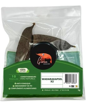 Wadarakapsel Gioia Shrimp pour protection crevettes