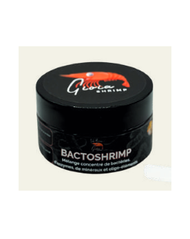 Boite poudre - Melange bacteries et enzymes