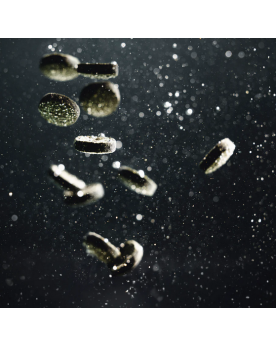 Nuggets vegetaux pour ancistrus et otocinclus