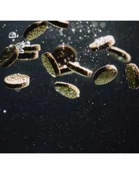 Nuggets mous riches en insectes pour silures