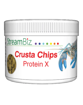 StreamBiz - Crusta Chips Protein 40g