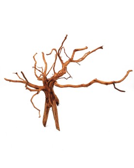 Dark Snake Wood pour aquascaping et crevettes